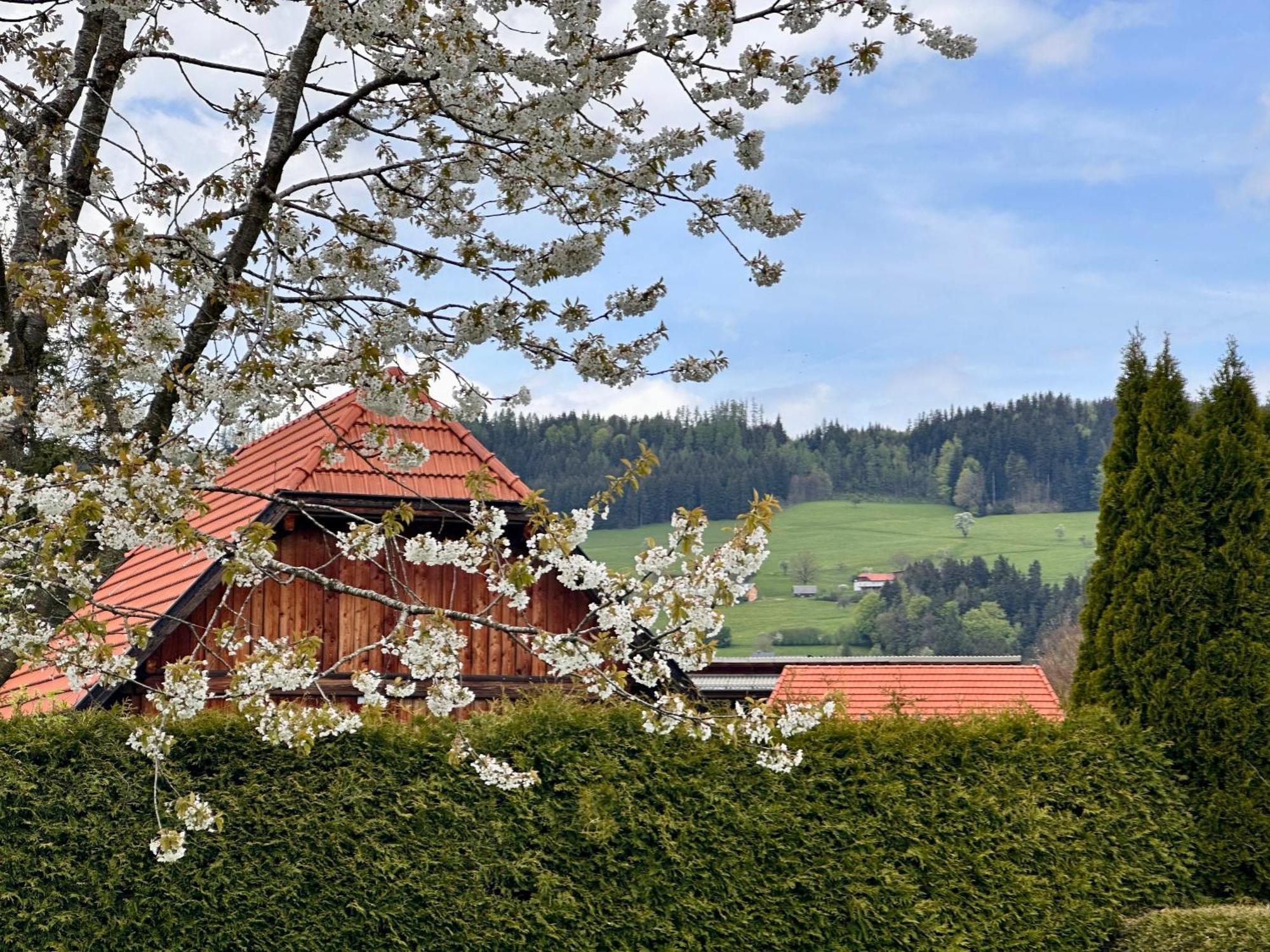 Romantic Chalet - Alpine Getaway Salzkammergut Viechtwang Dış mekan fotoğraf
